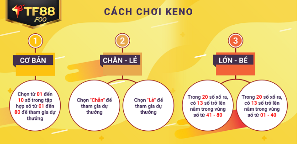 Hướng dẫn chi tiết cách chơi xổ số TF8